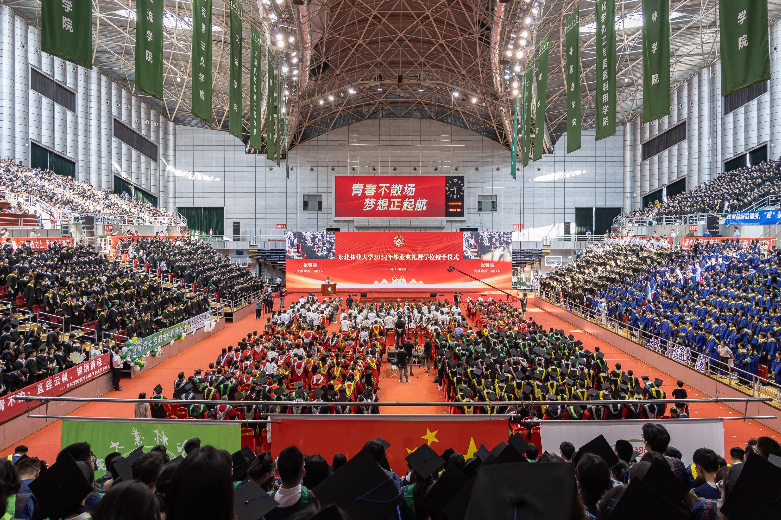 东北林业大学(东北林业大学是985还是211)