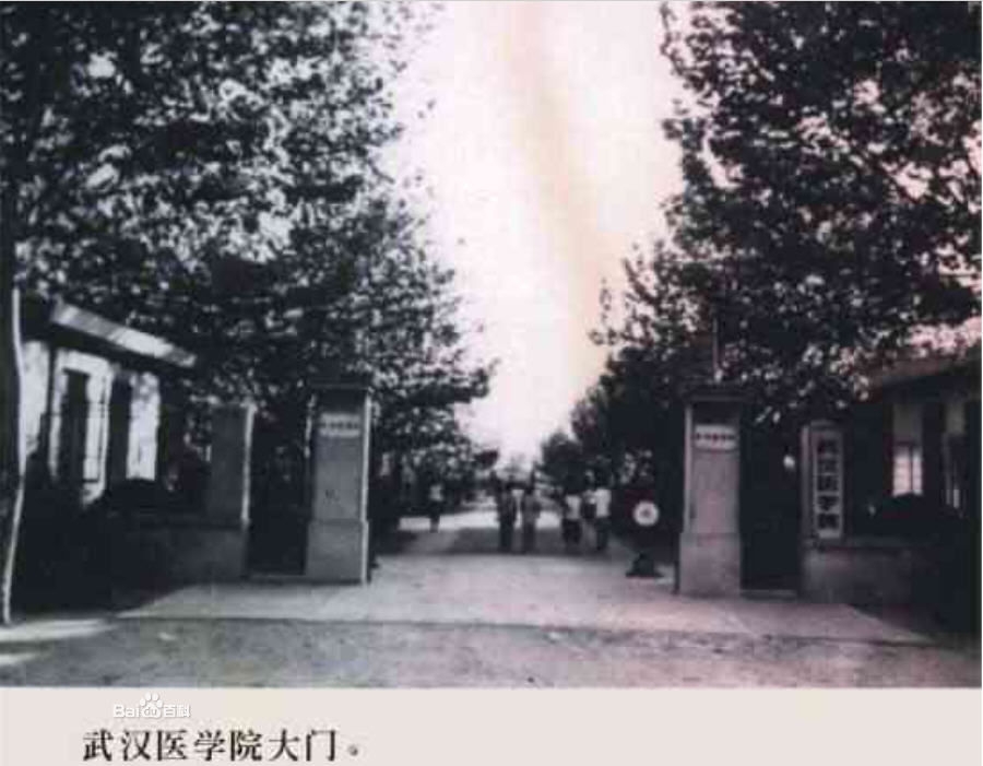 华中科技大学毕业证样本图片