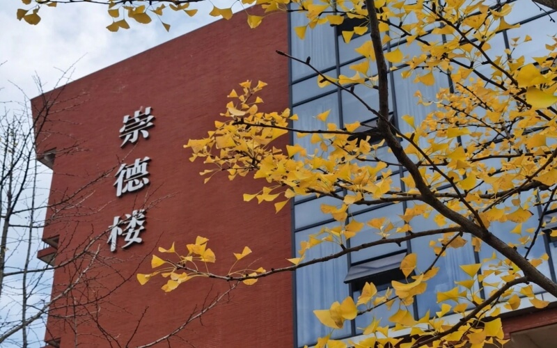 贵州大学是211吗