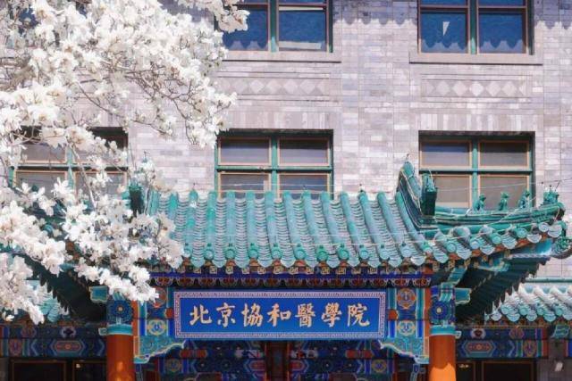 北京协和医学院要读多少年