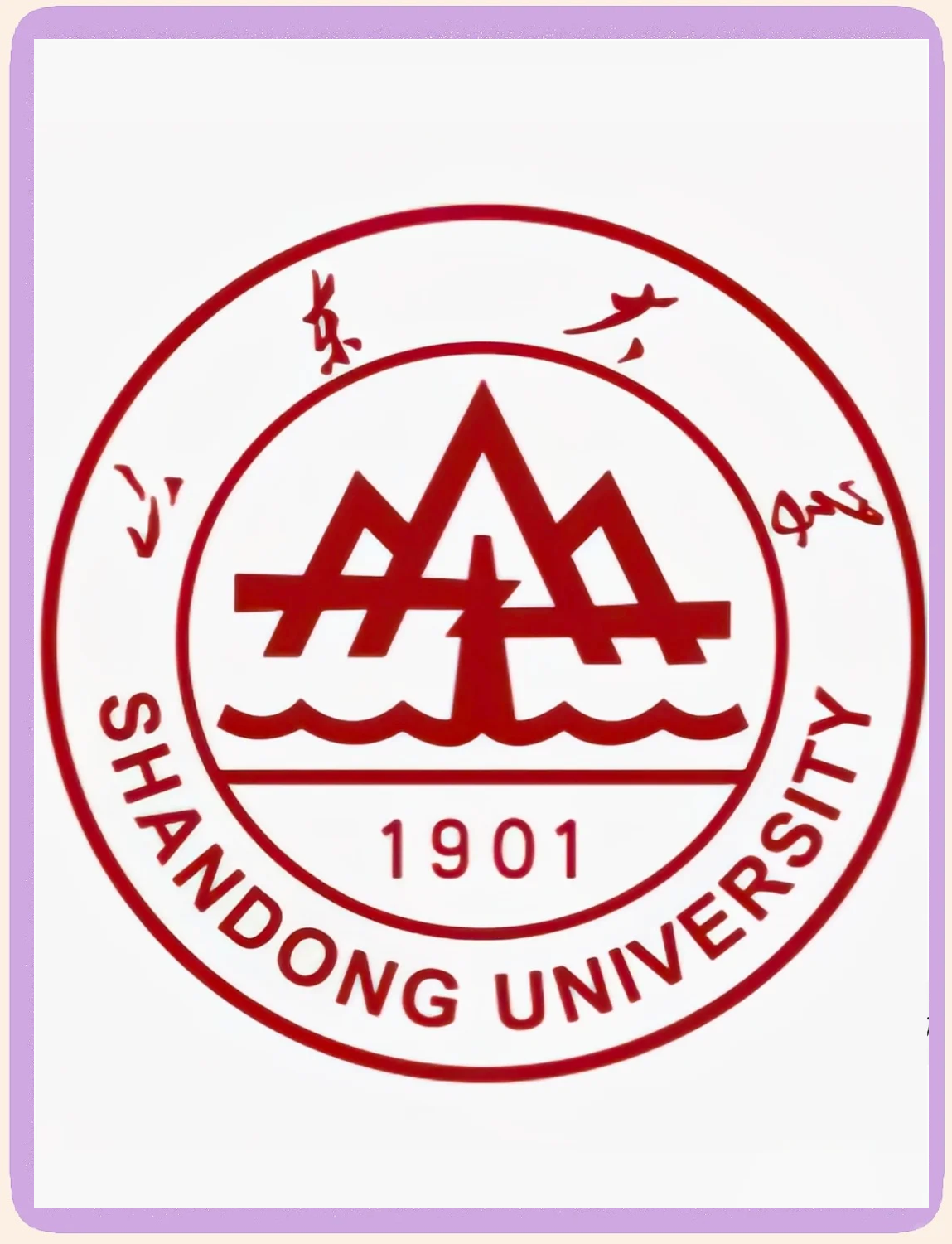 山东大学排名