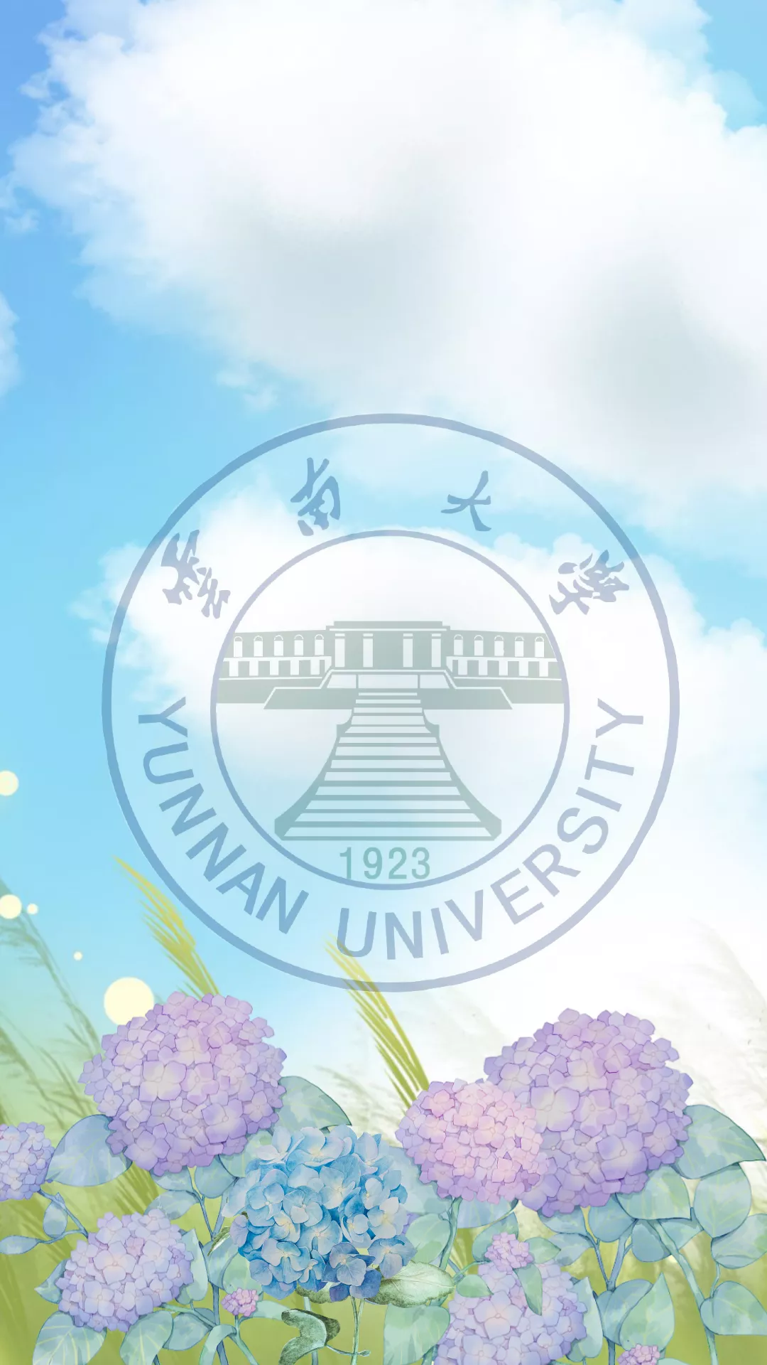 云南大学含金量高吗