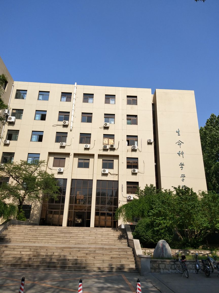 山东大学排名一览表