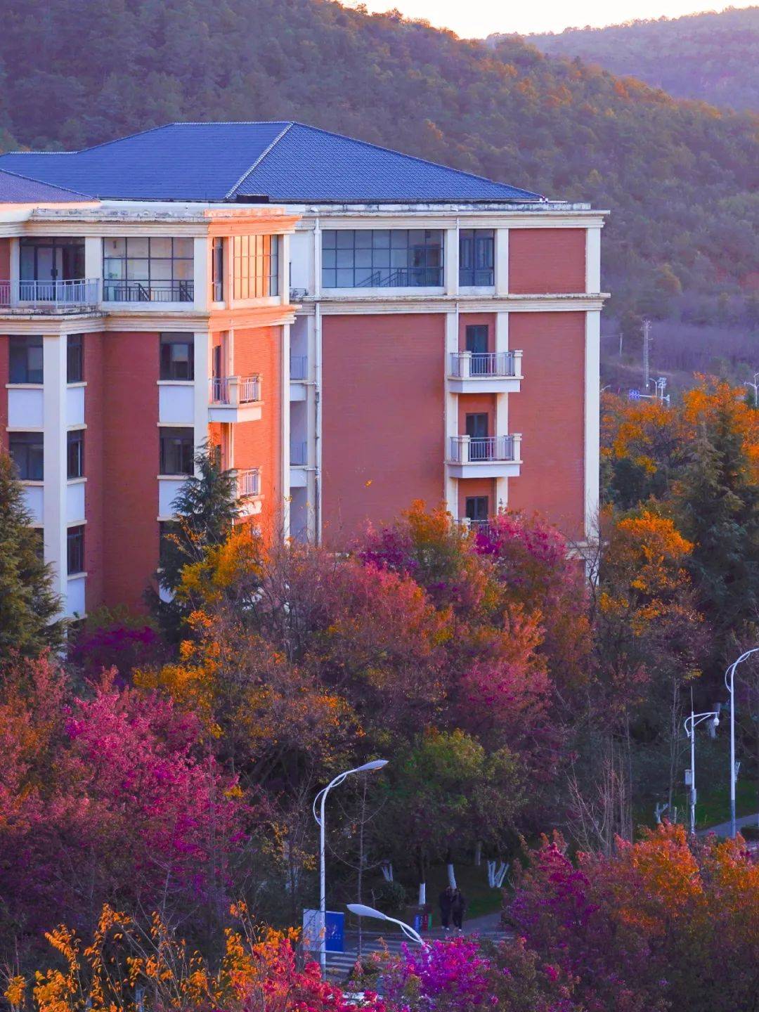 云南大学毕业证学位证