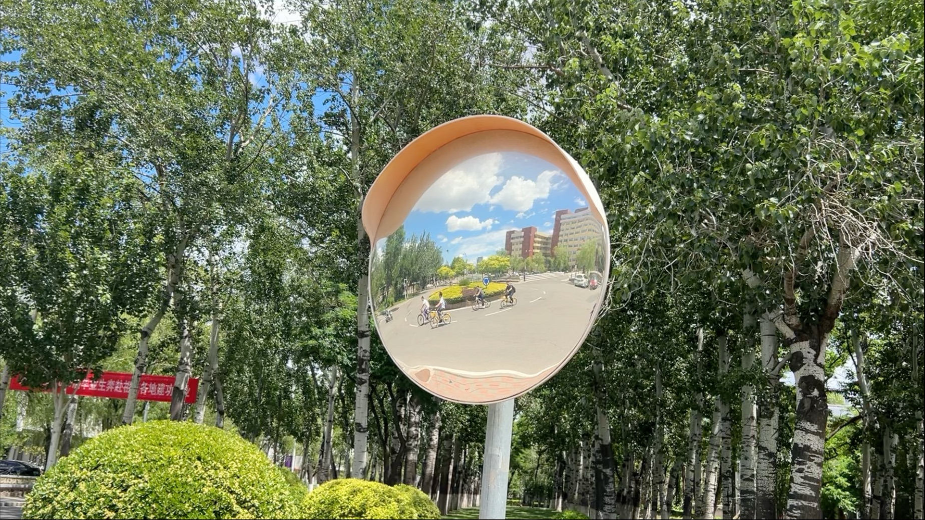 南开大学录取分数线